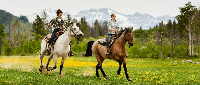Confident plus-size woman riding Halesowen a horse through a field with a smile on her face.